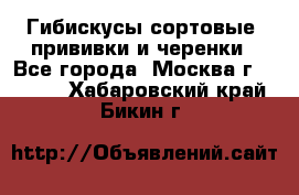 Гибискусы сортовые, прививки и черенки - Все города, Москва г.  »    . Хабаровский край,Бикин г.